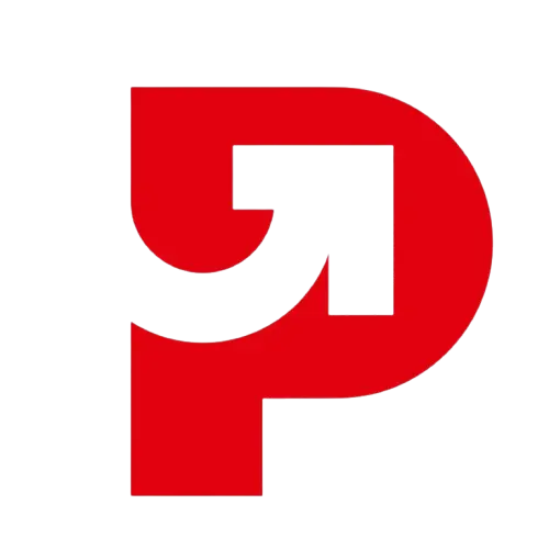 Pioneer Digitals- Best Digital Marketing Agency in India